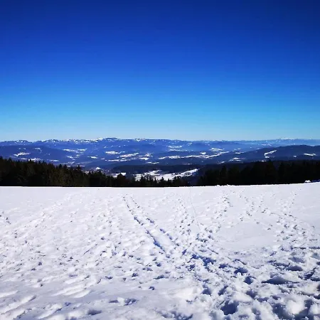 Waldwipfel-appartement *