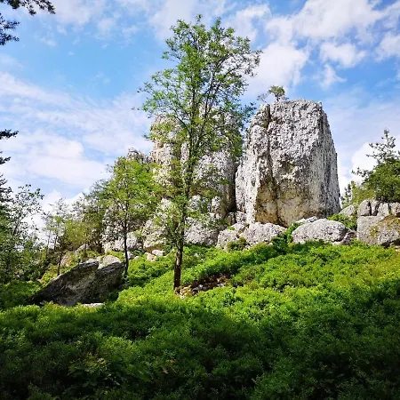 Appartamento Waldwipfel-appartement Sankt Englmar