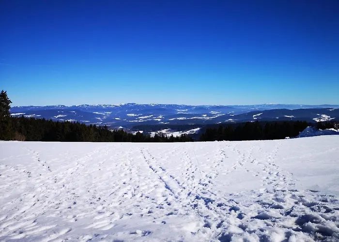 Waldwipfel-appartement *
